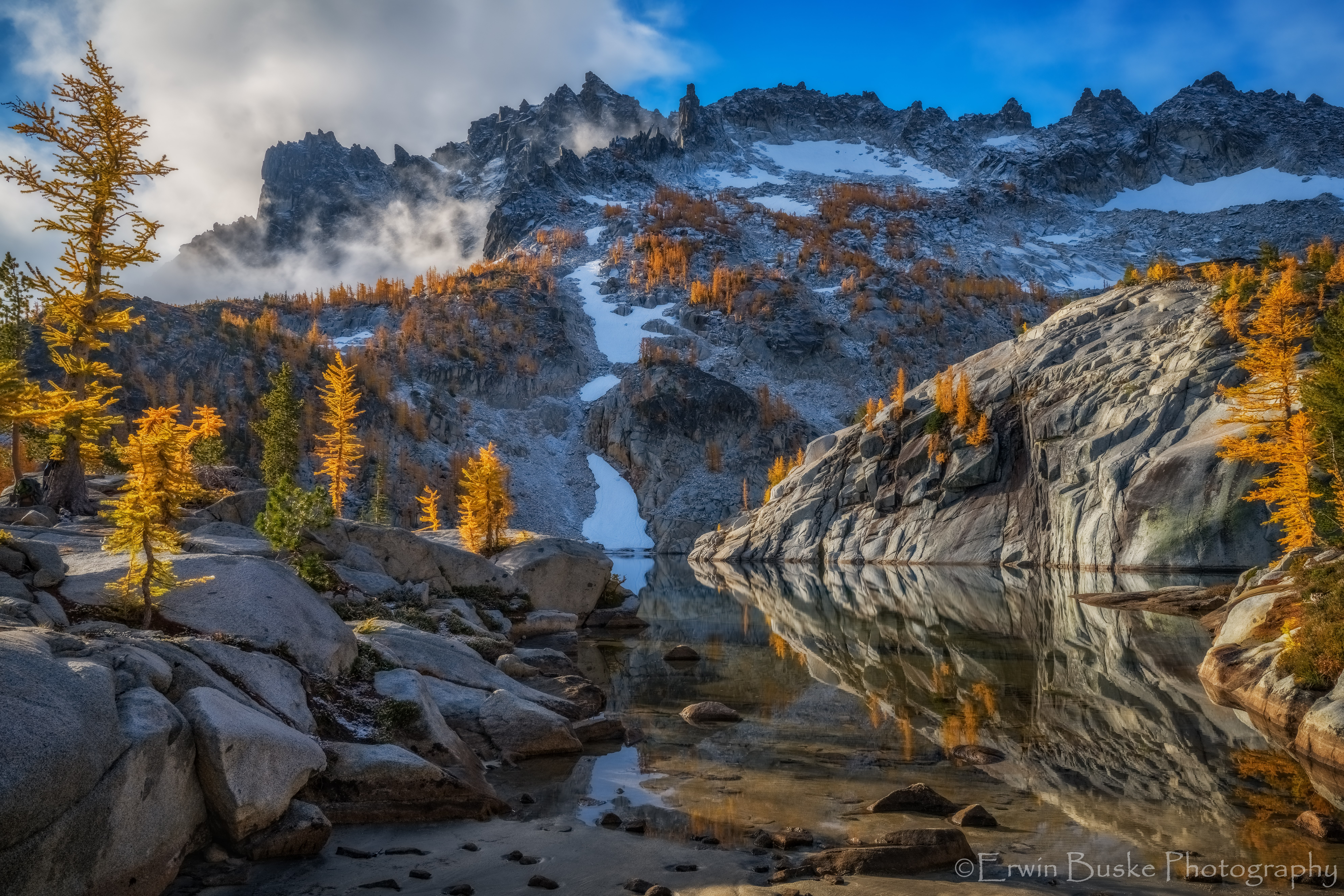 caroline-buske-family-photo