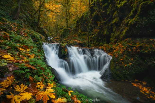 emerald-sharpened-for-crop