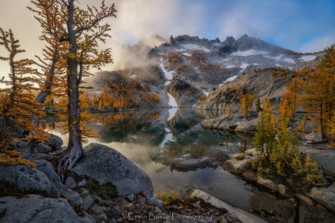 larches-with-character-comp