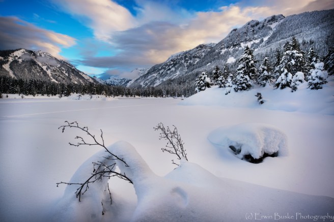 pond-tree-116bitreeditspots