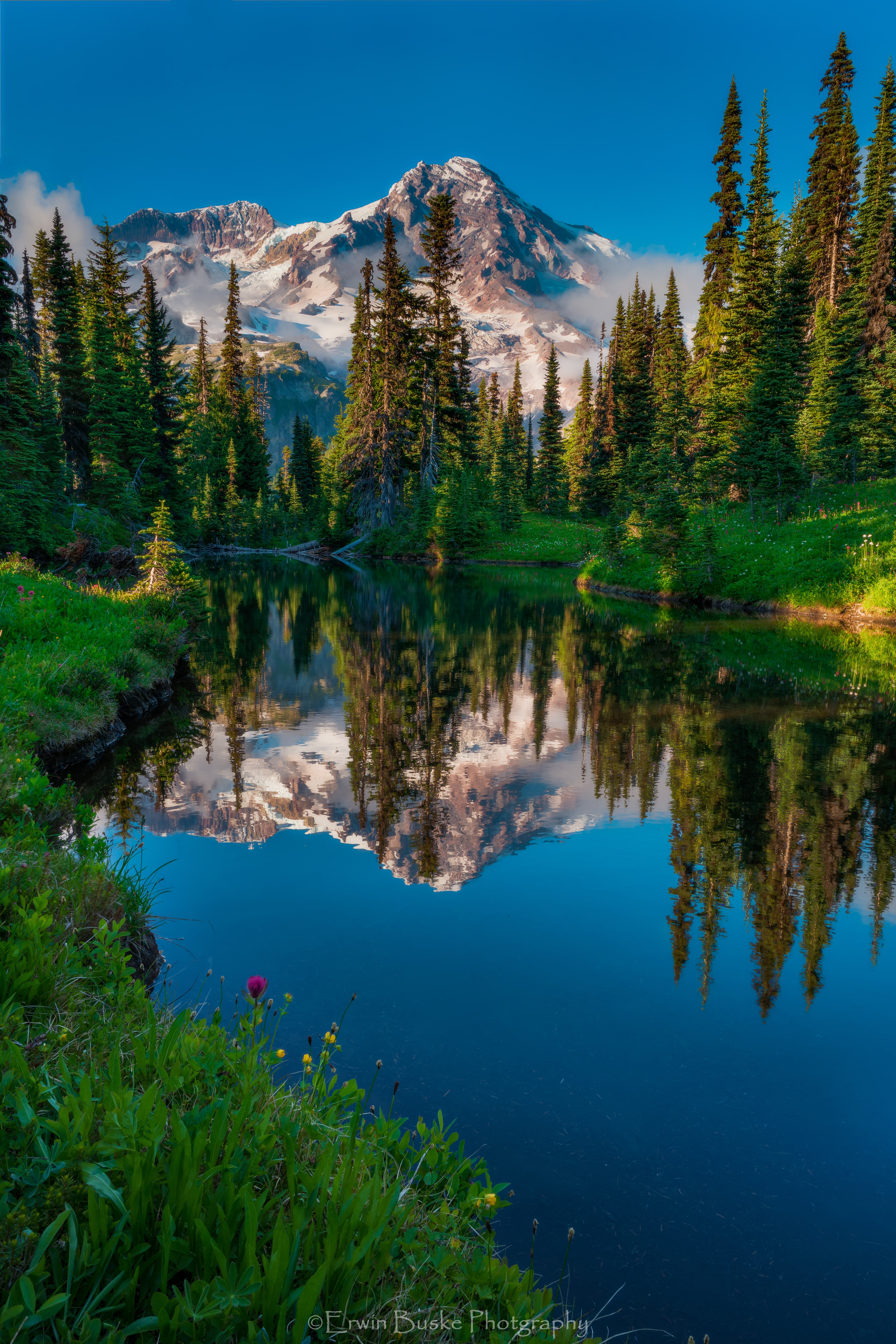 blended-mirror-imagecomp