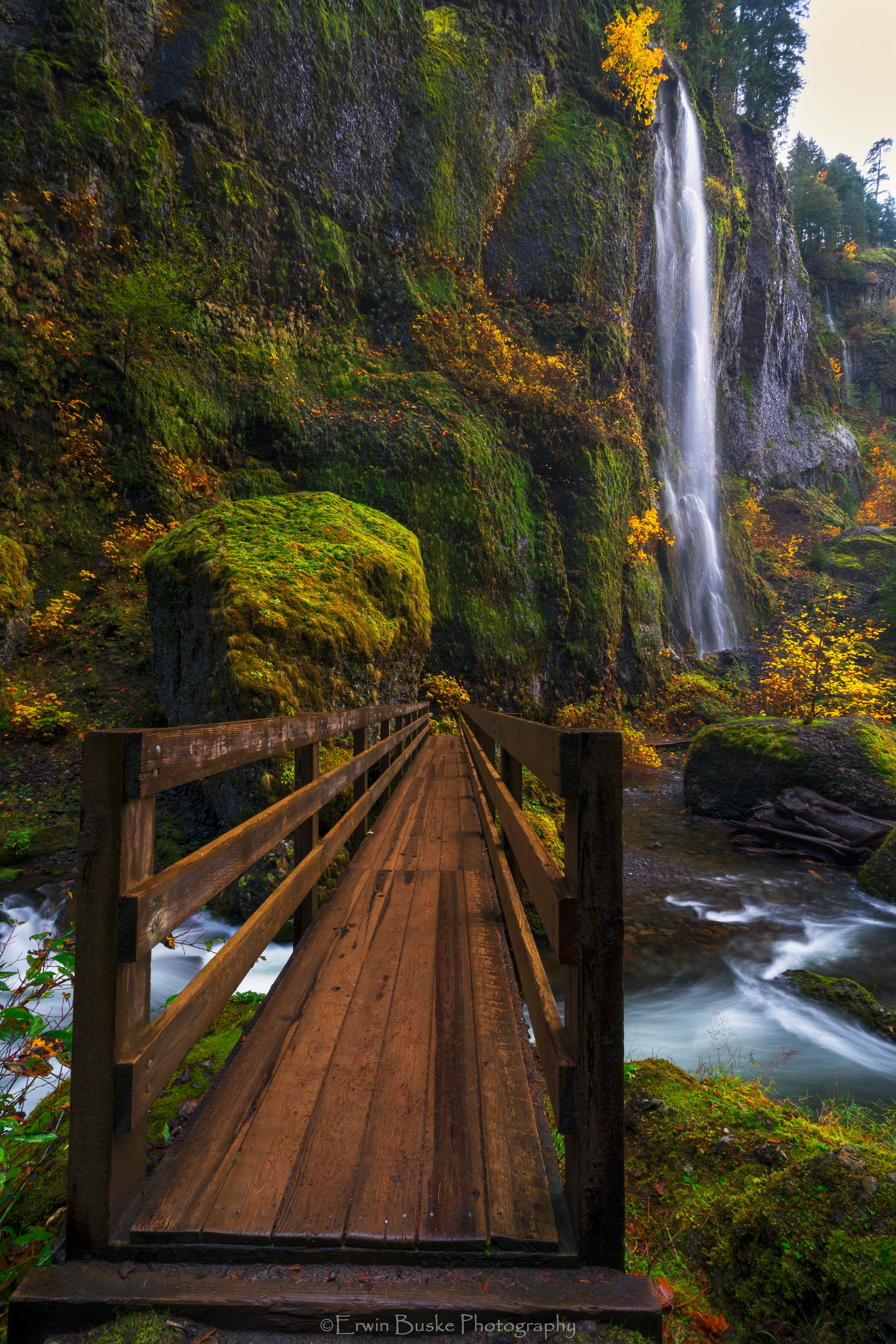 gorge-2016-autumn0047