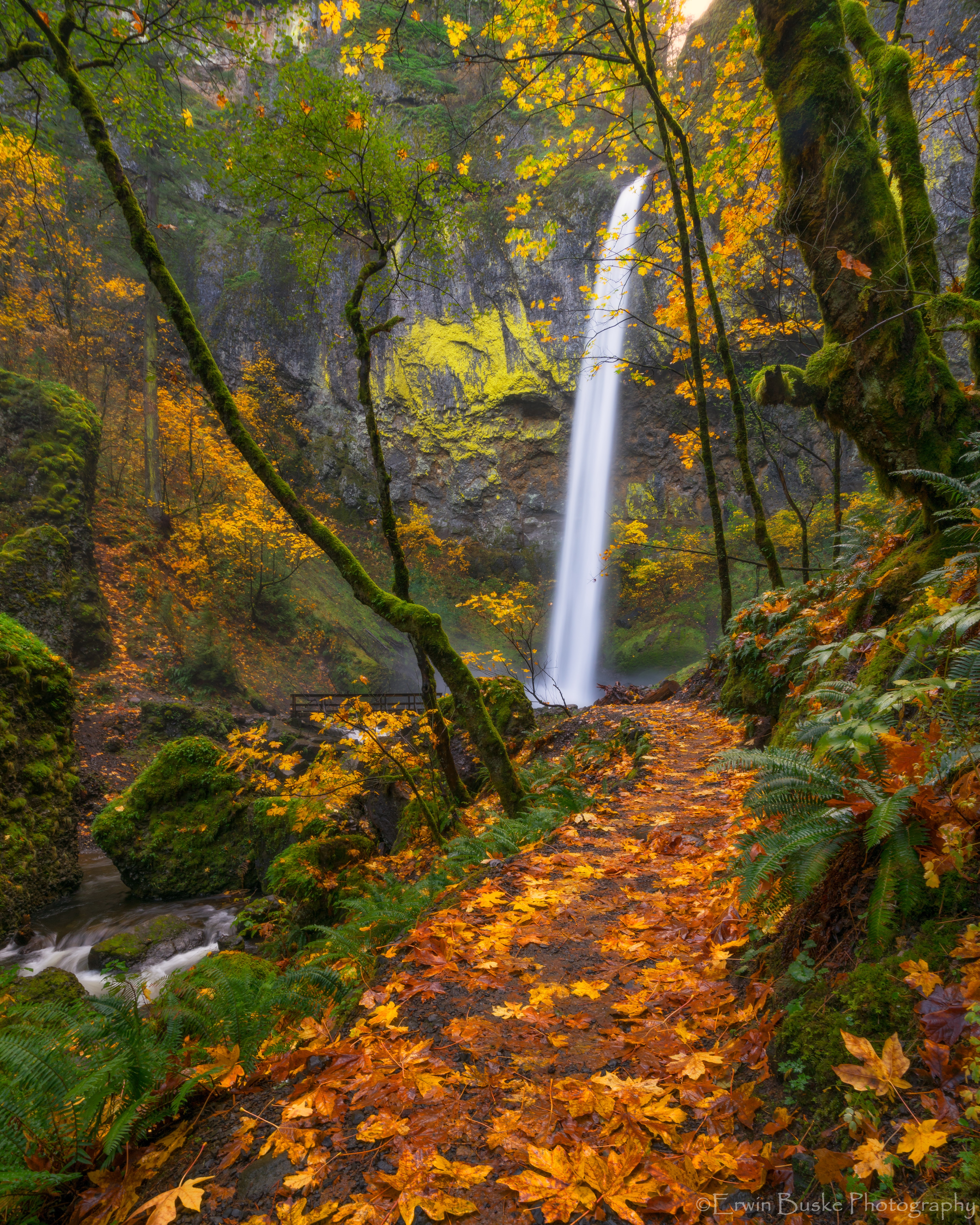 gorge-2016-autumn0323