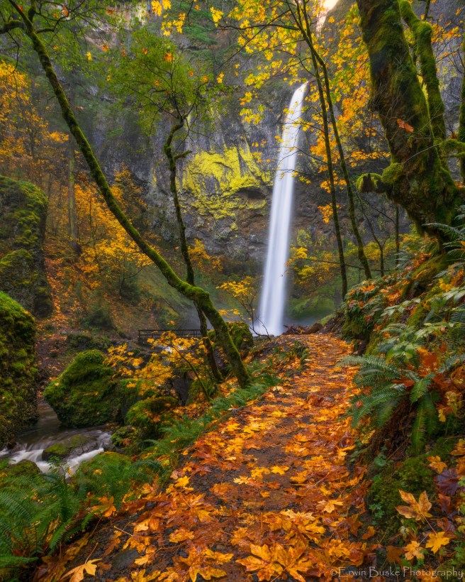 gorge-2016-autumn0323