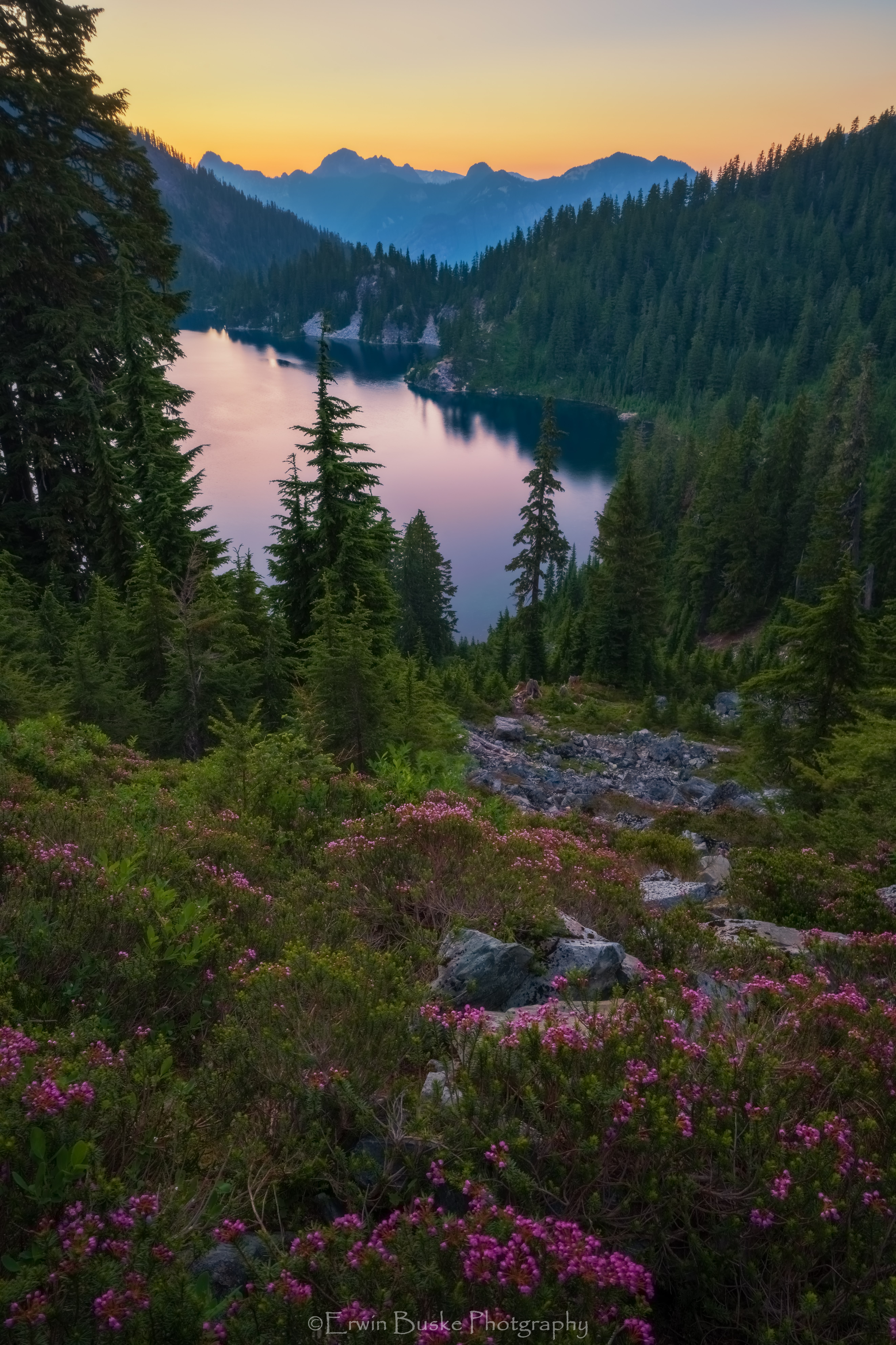 heather-snow-vertical-sunsetcompr1