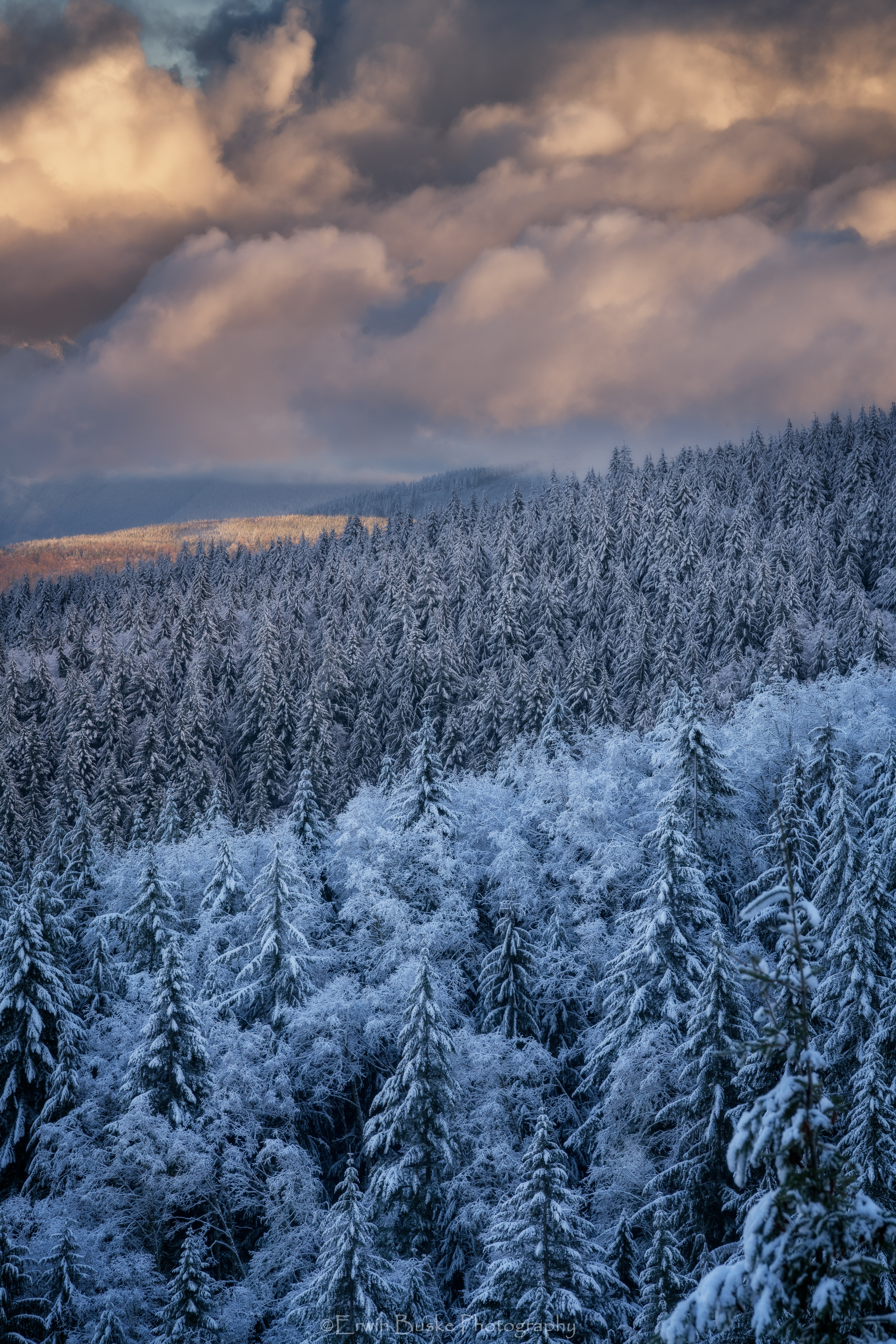 Tiger Mountain 2016057.JPG