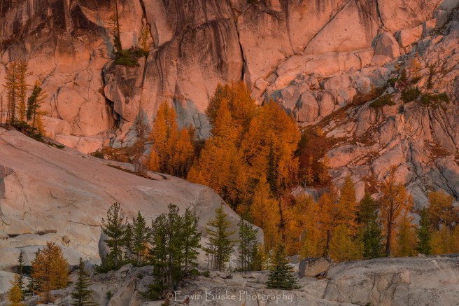 0818Enchantmentscomp