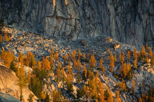 1566Enchantments as Smart Object-1