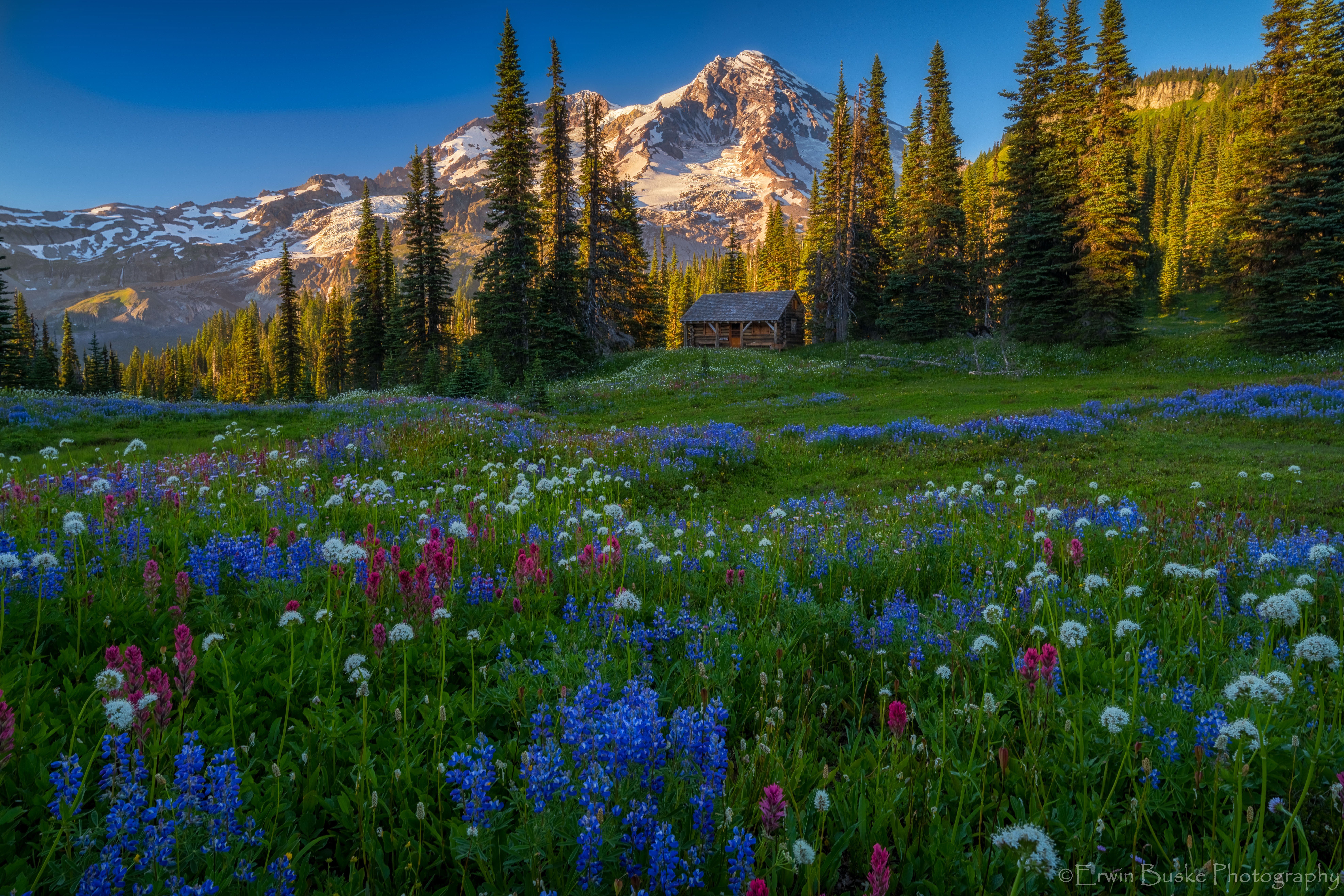 Indian Henry0470-HDR