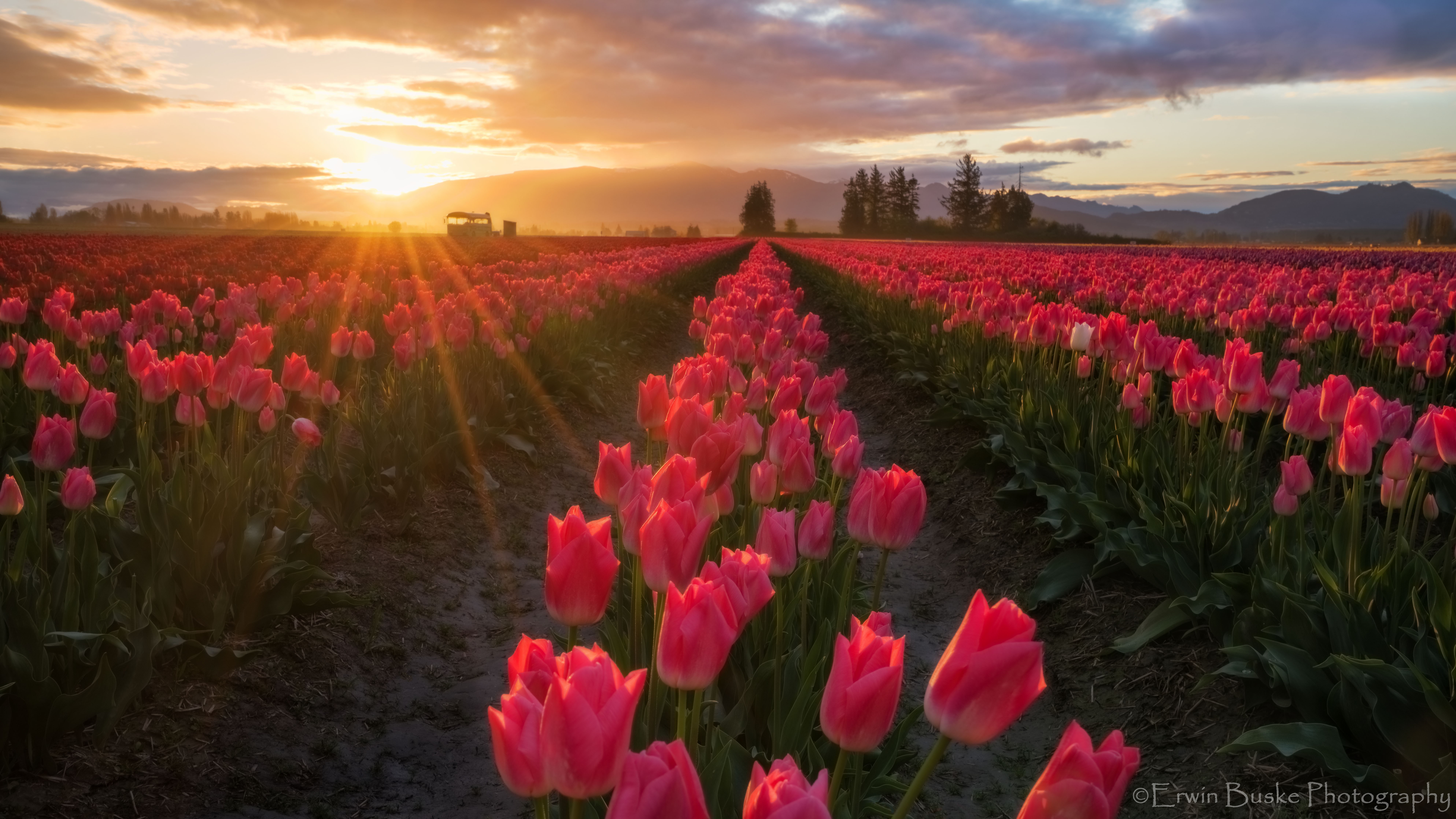 Sunrise 1.7 stop five comp