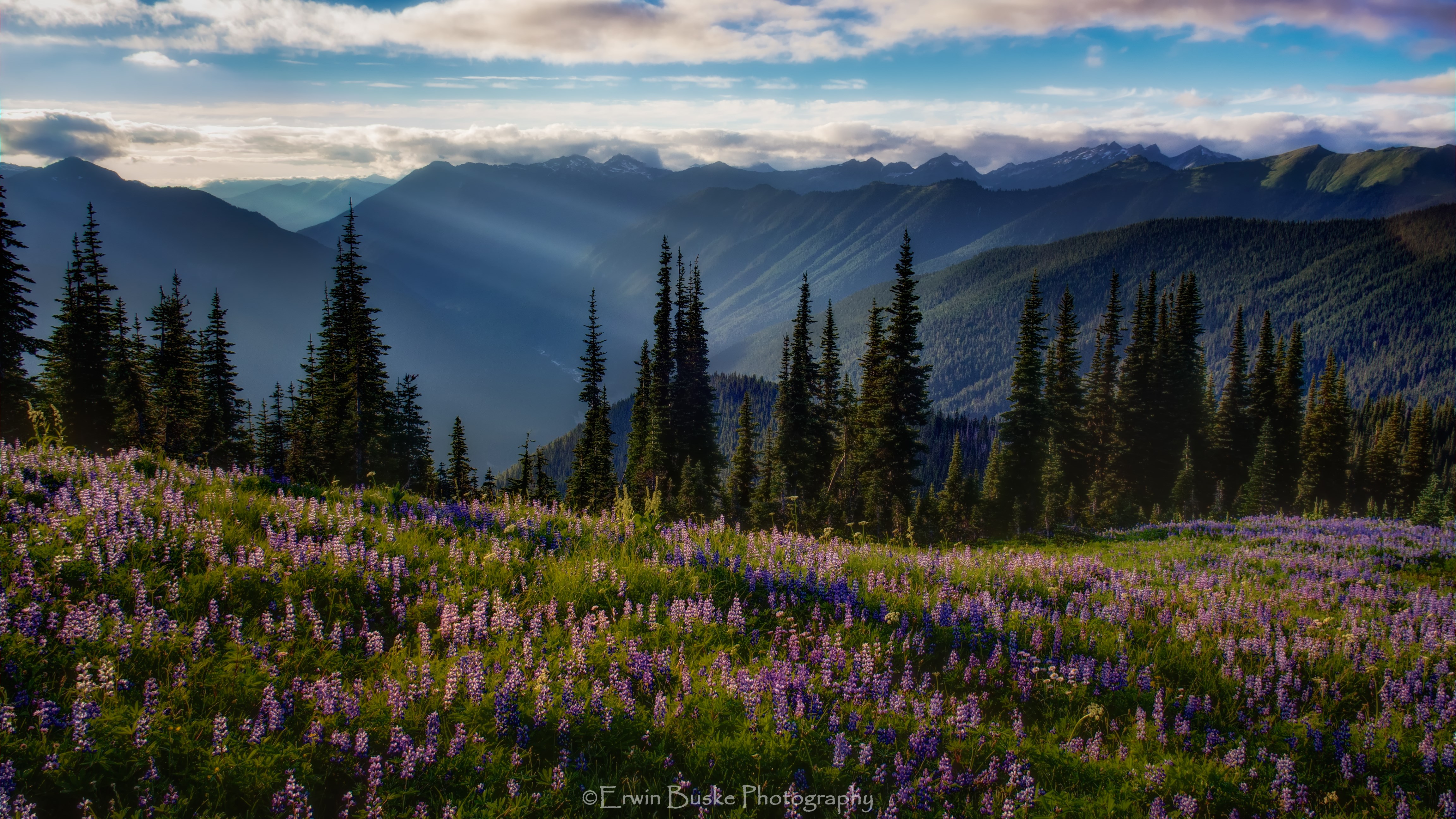 Glacier Peak 0563 Styalized 1HwarmFinal