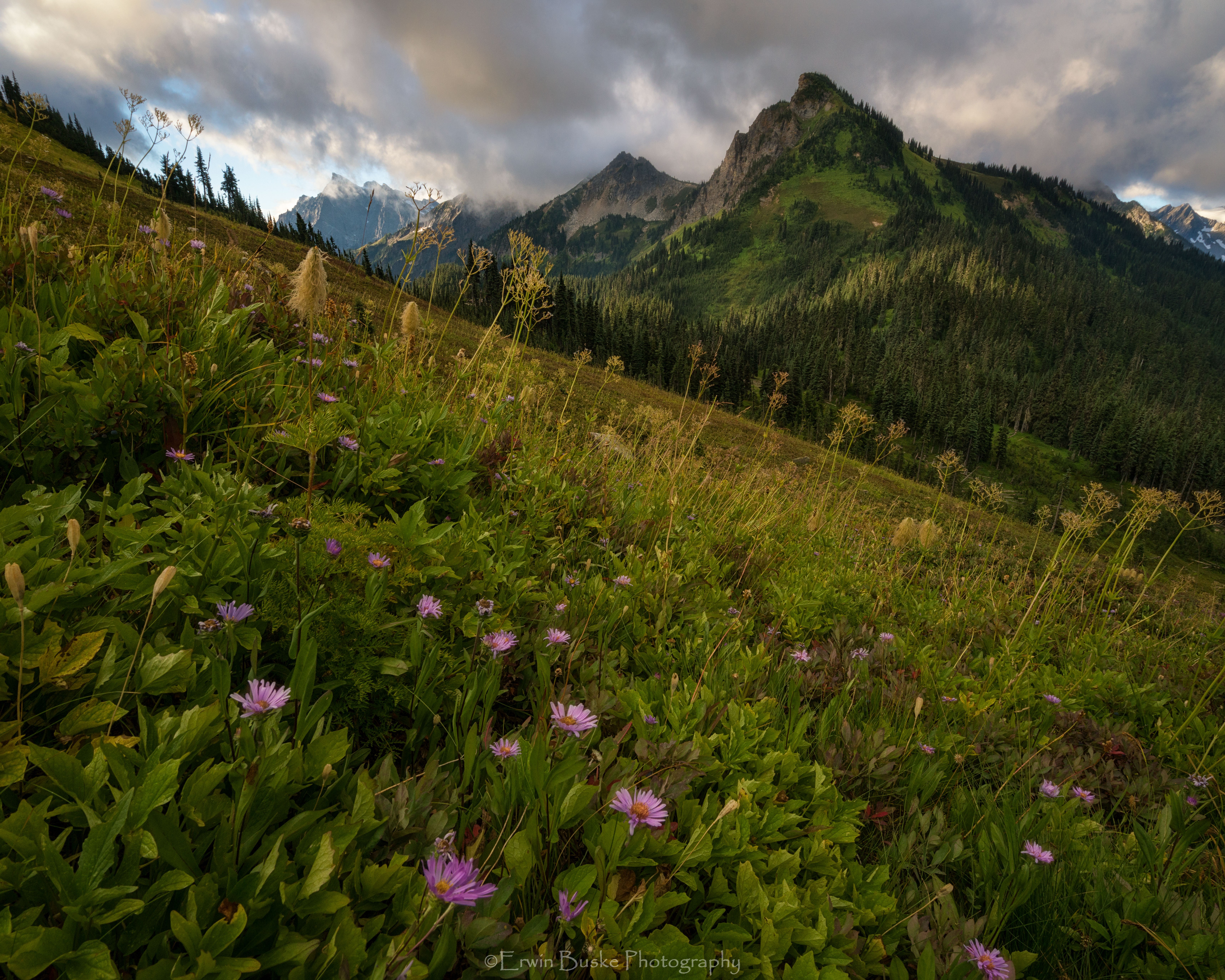 Glacier Peak 2017 Images2452 copyfinalcroplighten