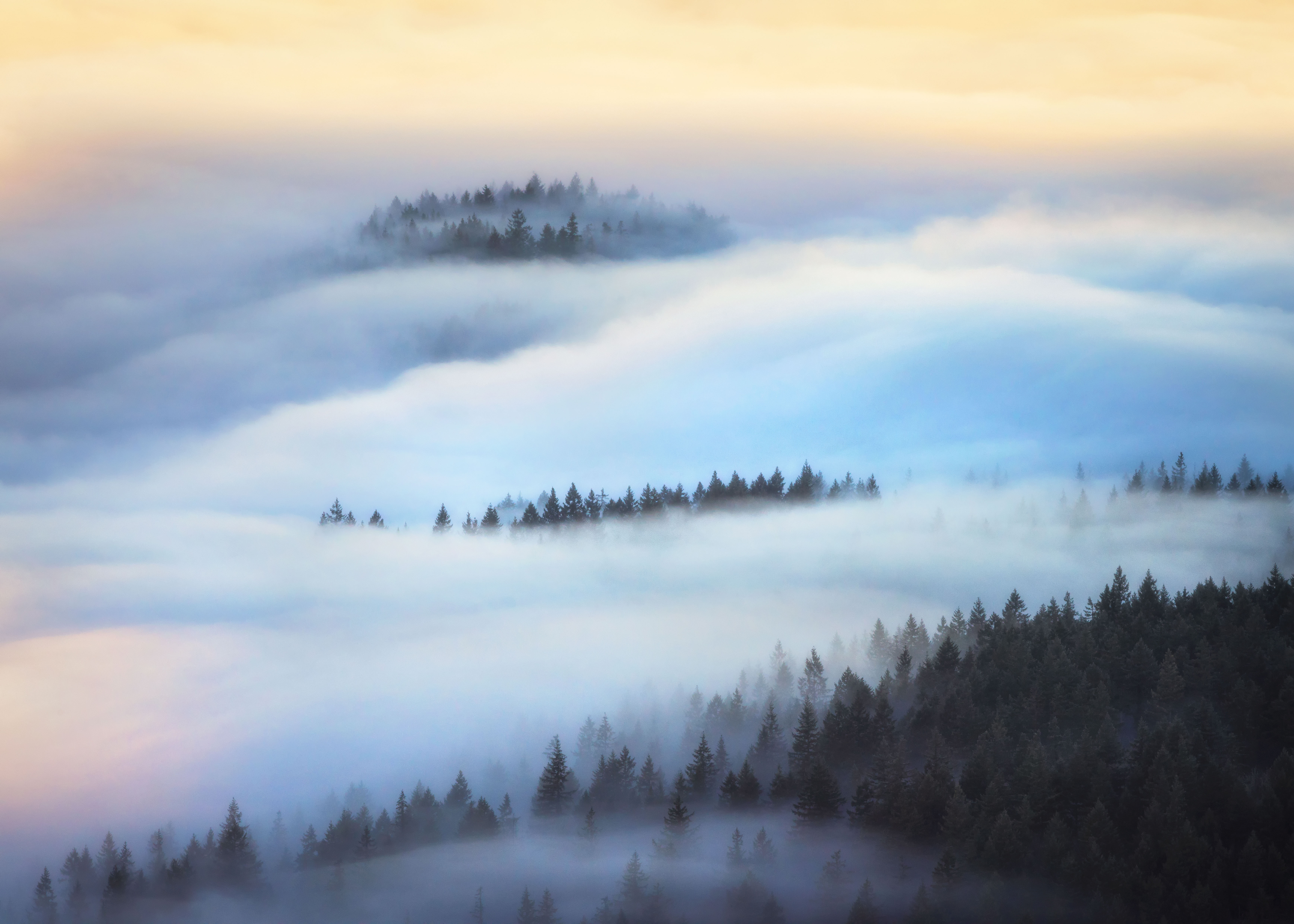 Secrets of the Forest Journey 2 451r1