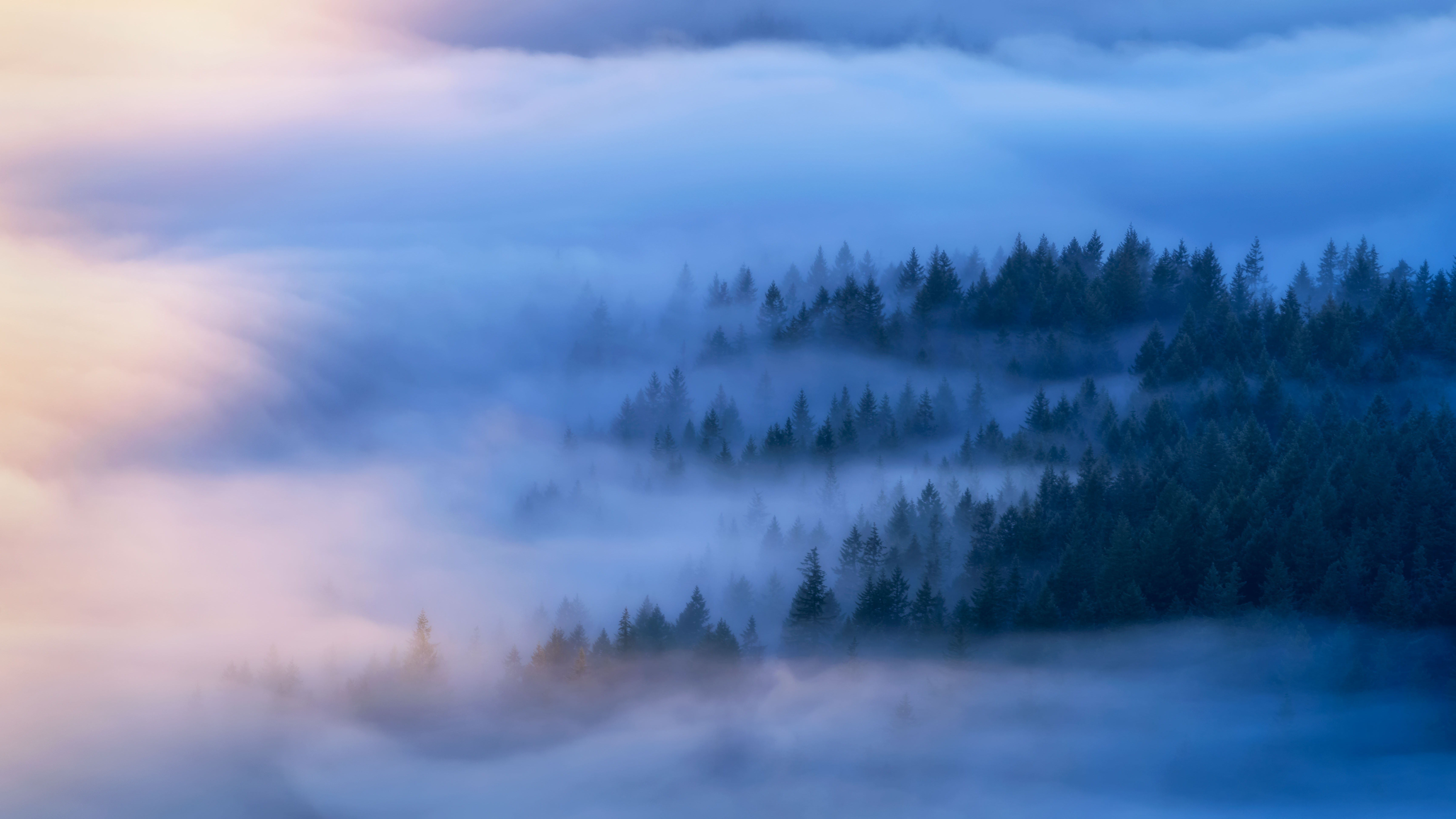 Secrets of the Forest Journey 2 459-HDR