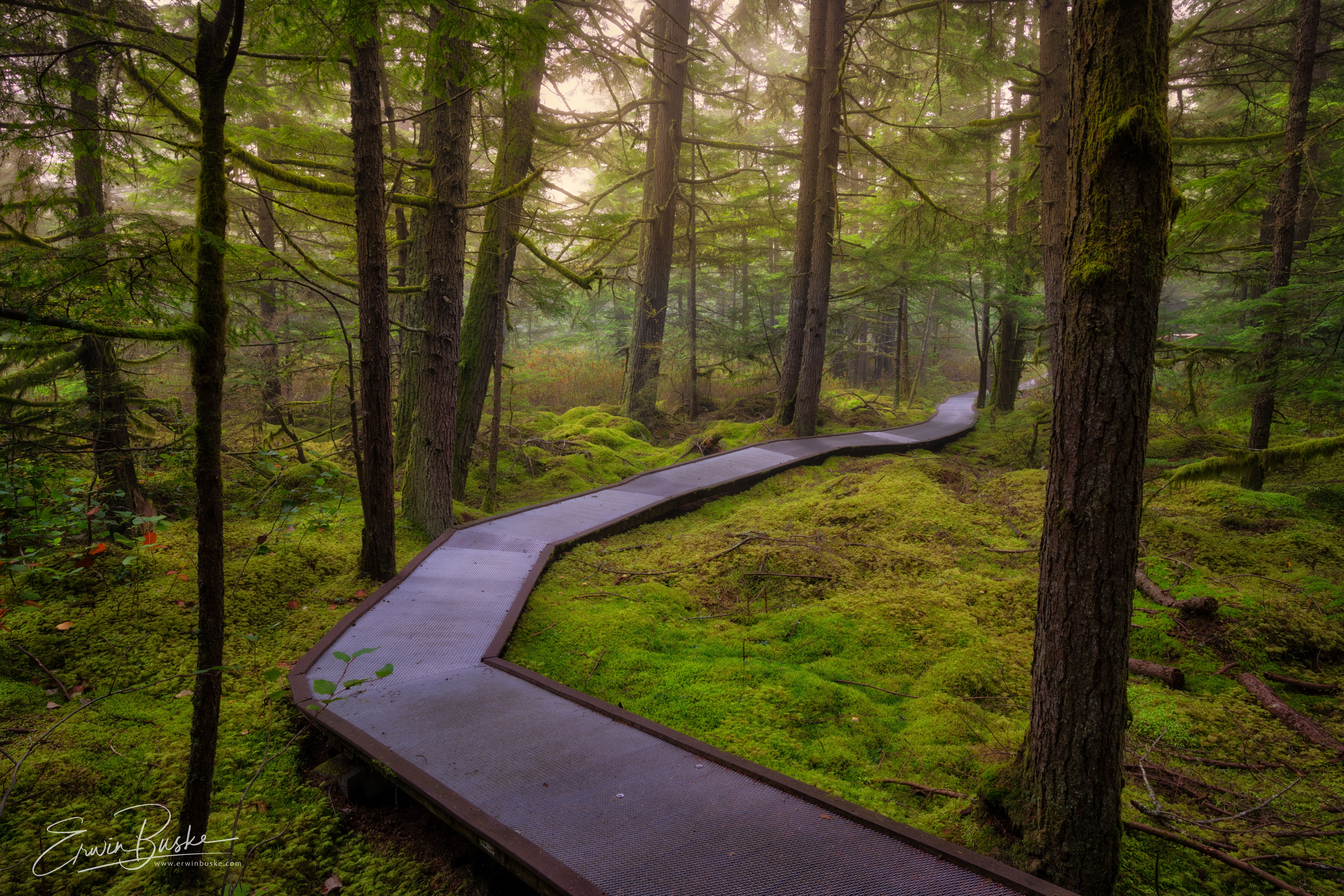 Autumn Variety0019-HDR