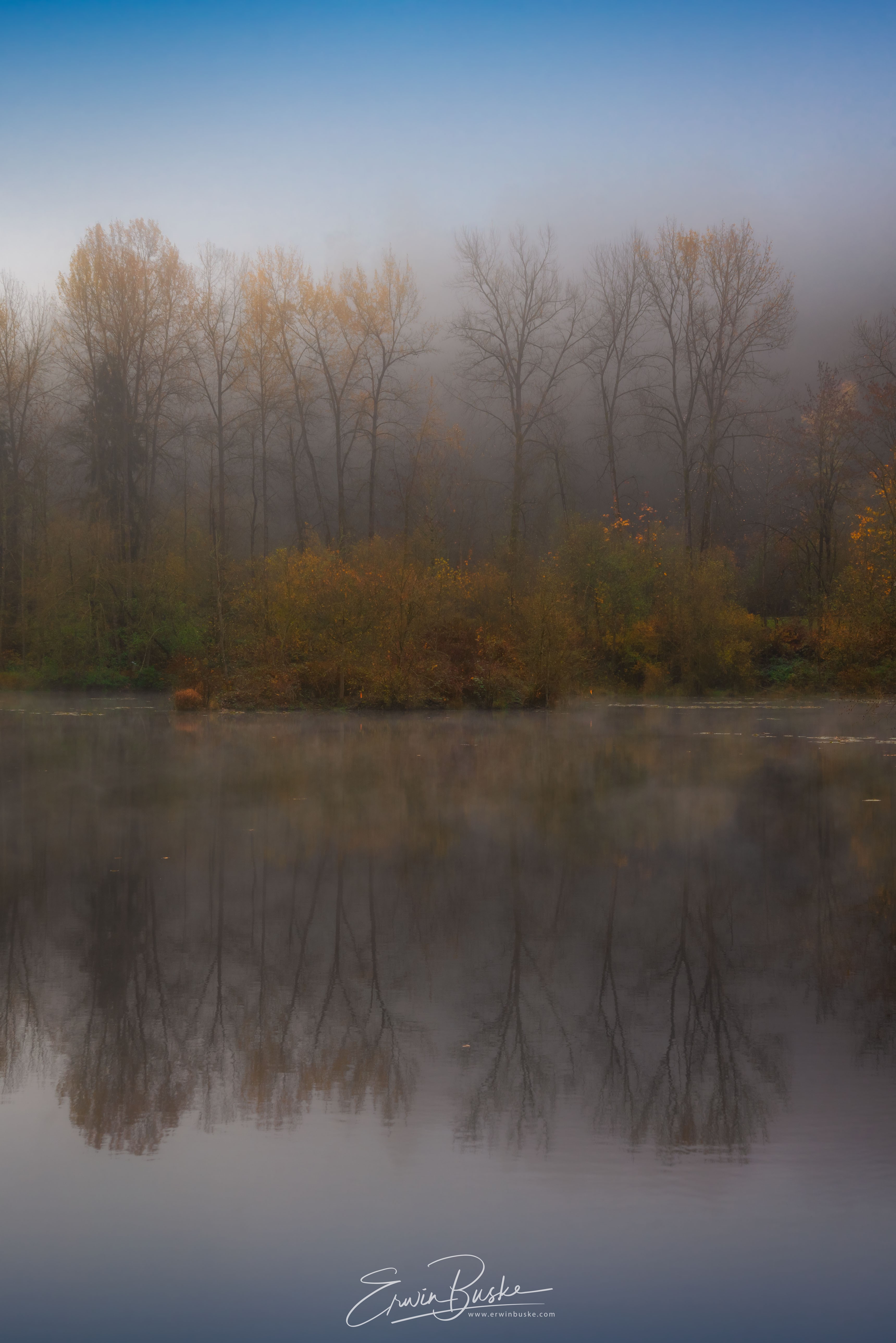Bridge and Leavesi0214-HDR