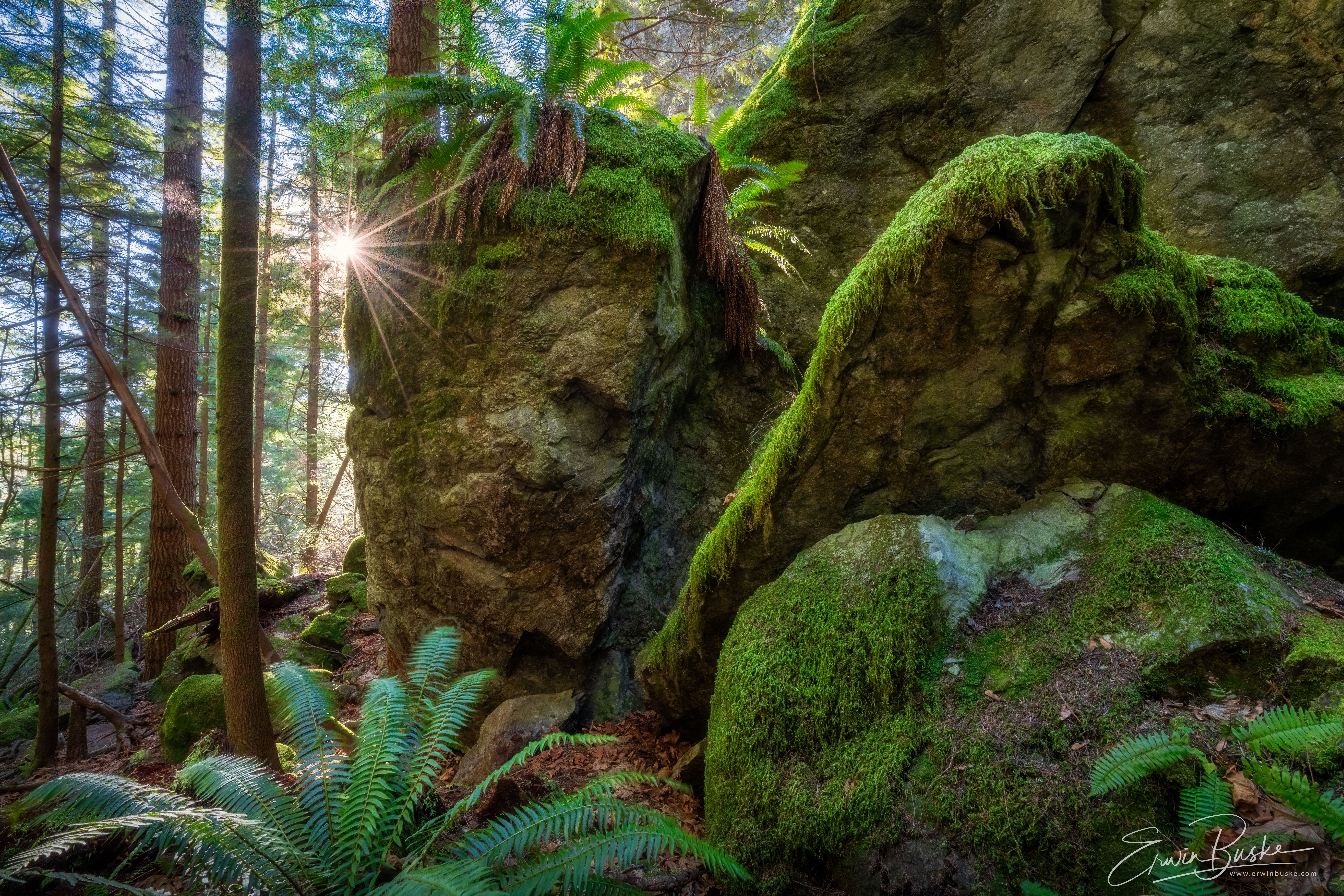 Little Si Climbing Walls0361-HDR