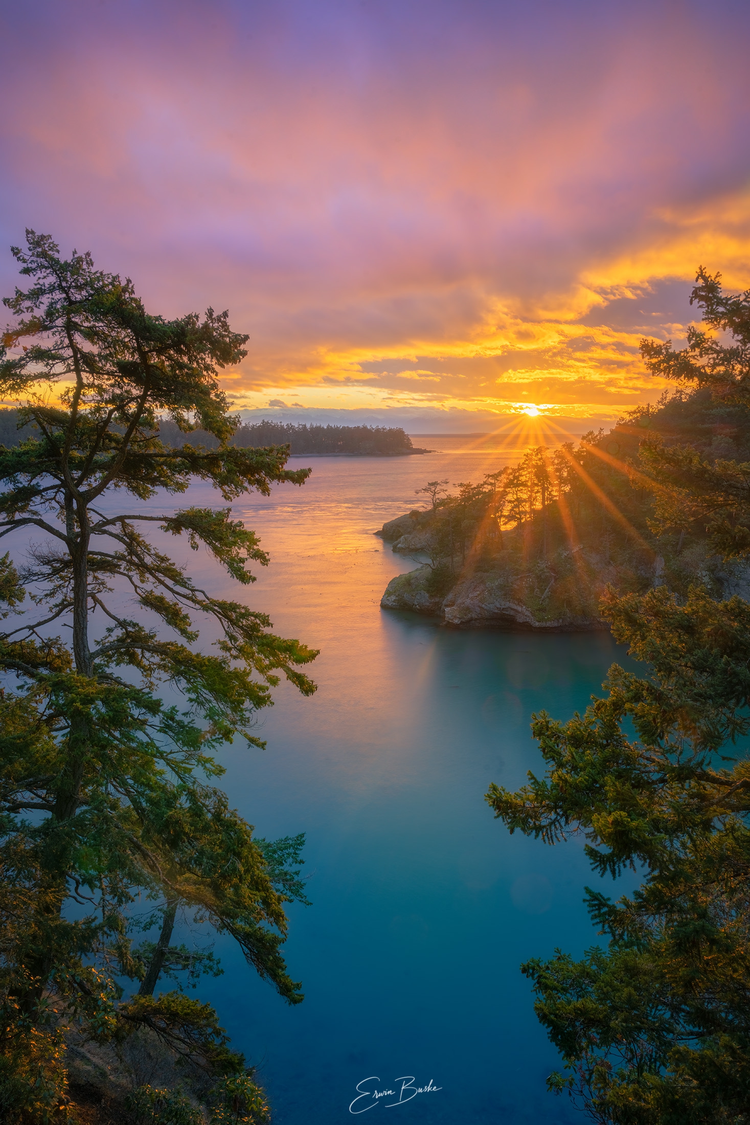 The Way of Zen, Love of Nature, and Photography | Erwin Buske
