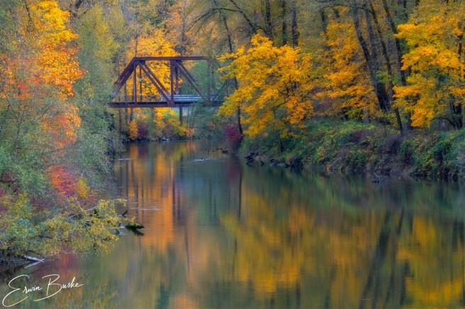 Autumn foliage and a bridge reflected in water in the Snoqualmie Valley.