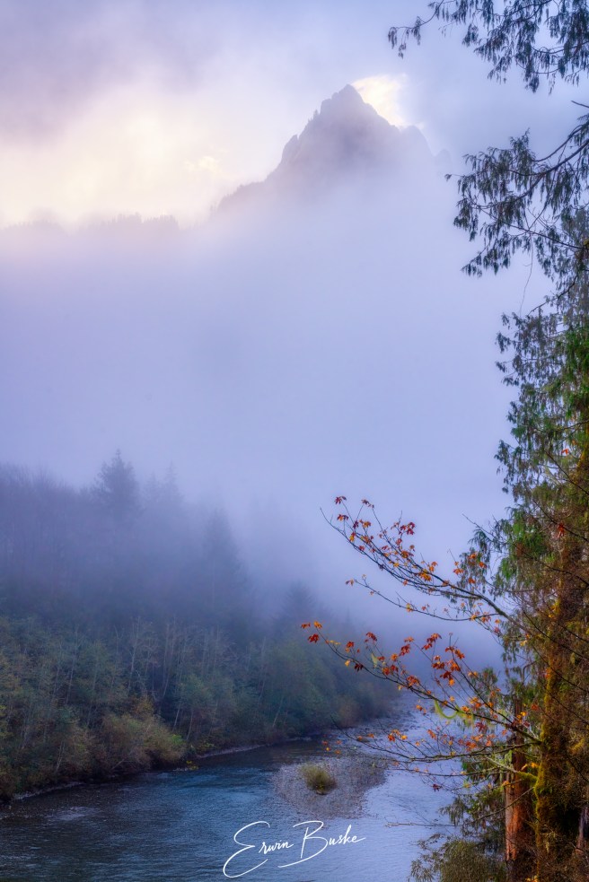 Distant mountain fading into mist behind layered forest in the Middle Fork Snoqualmie Valley.